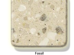 fossil